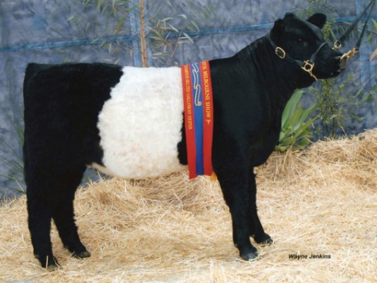 PINE GULLY PARK CLAIRE