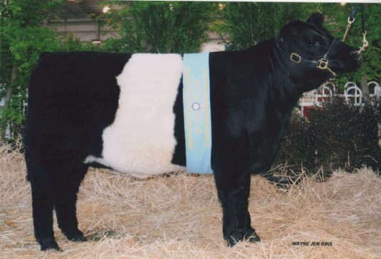 PINE GULLY PARK GISELLE