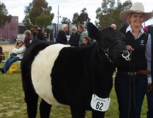 PINE GULLY PARK GWENDOLYN